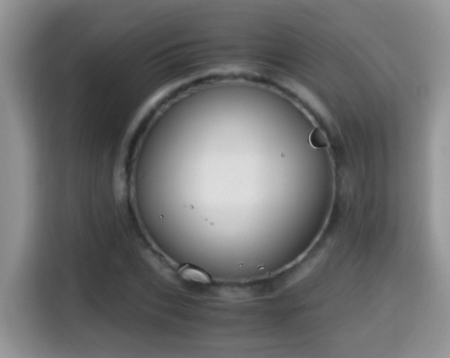 X0000116000927200911251057