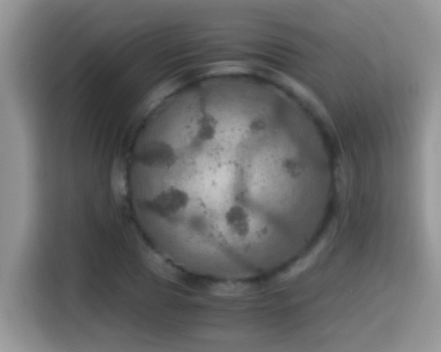 X0000116000929200911251057