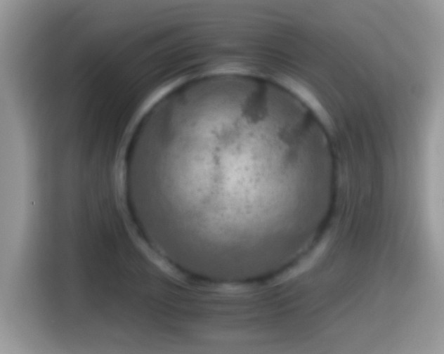 X0000116000933200911251057