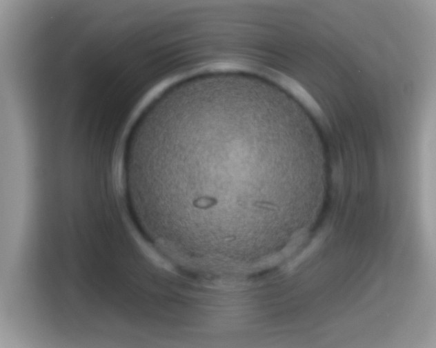 X0000116000934200911251057