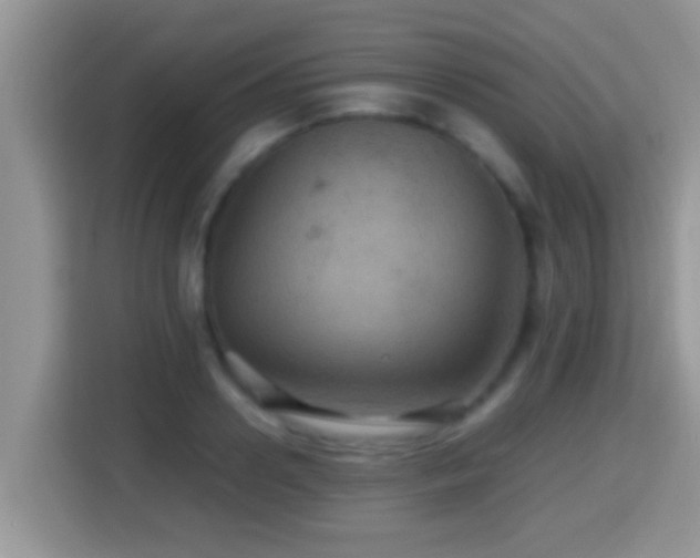 X0000116000938200911251057