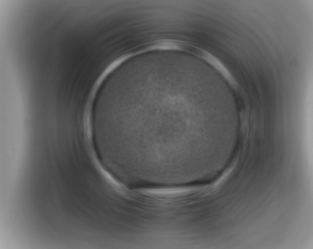 X0000116000939200911251057