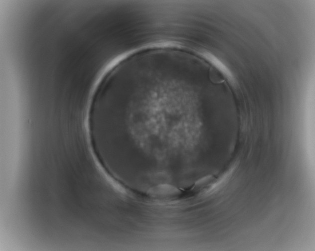 X0000116000943200911251057