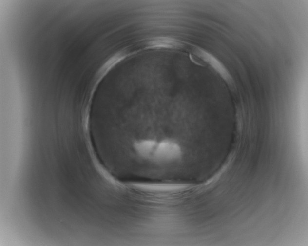 X0000116000946200911251057