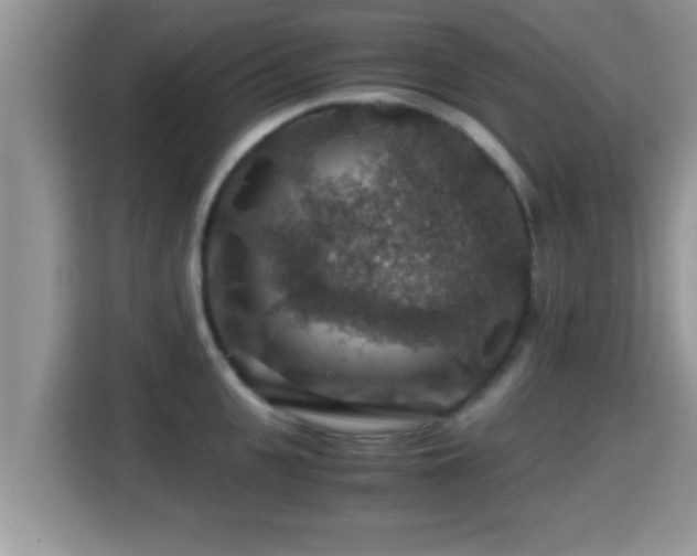 X0000116000951200911251057