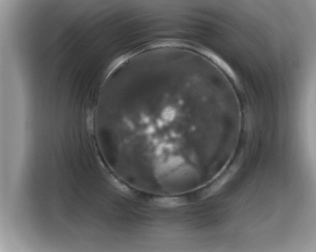 X0000116000953200911251057