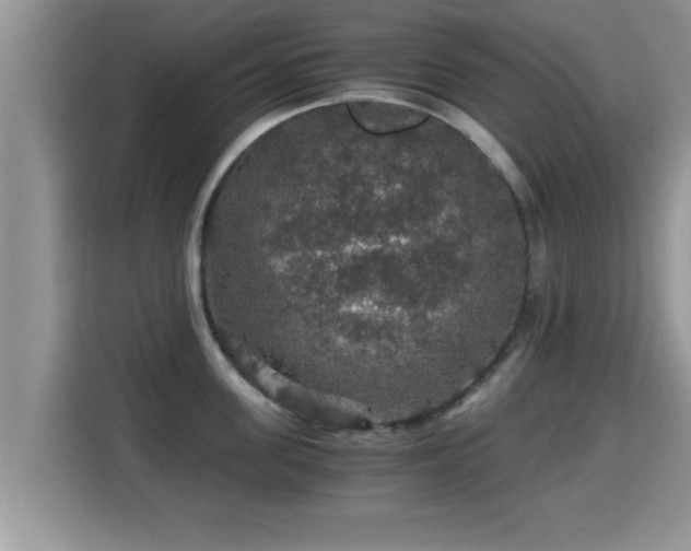 X0000116000955200911251057