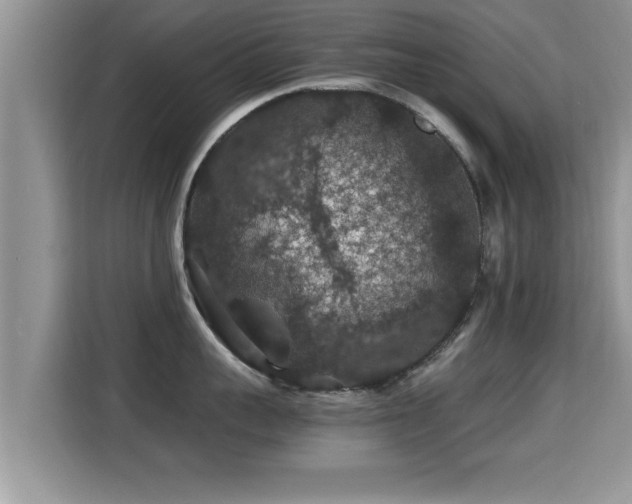 X0000116000959200911251057