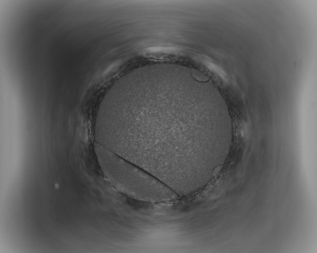 X0000116000965200911251057