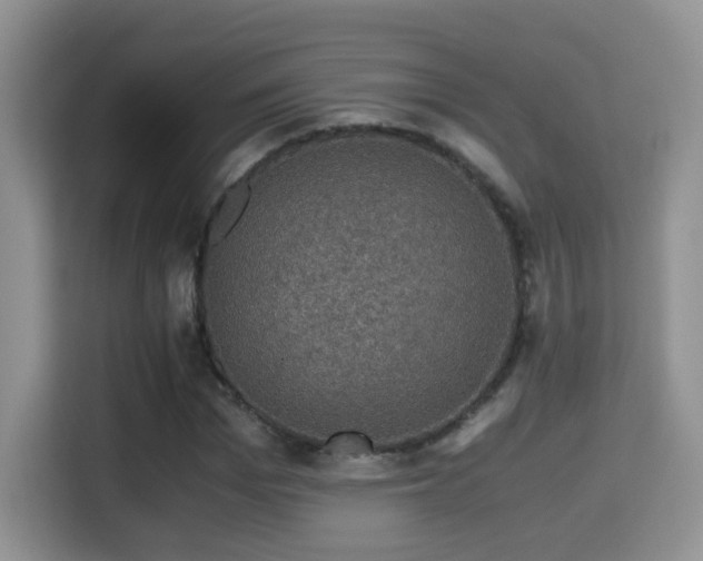 X0000116000969200911251057