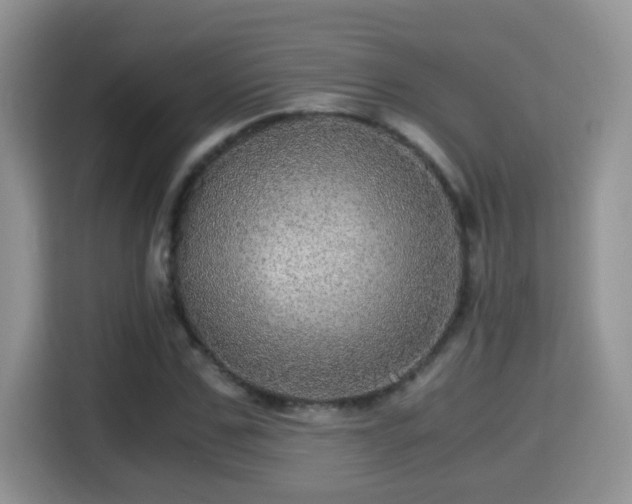 X0000116000971200911251057