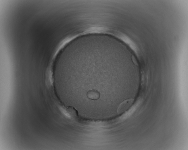 X0000116000973200911251057