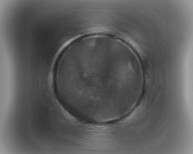 X0000116000975200911251057