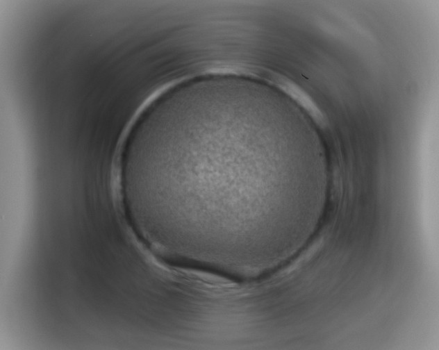 X0000116000976200911251057