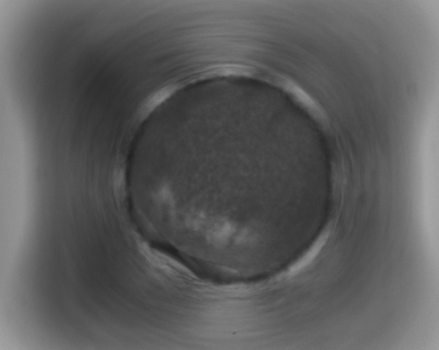 X0000116000977200911251057