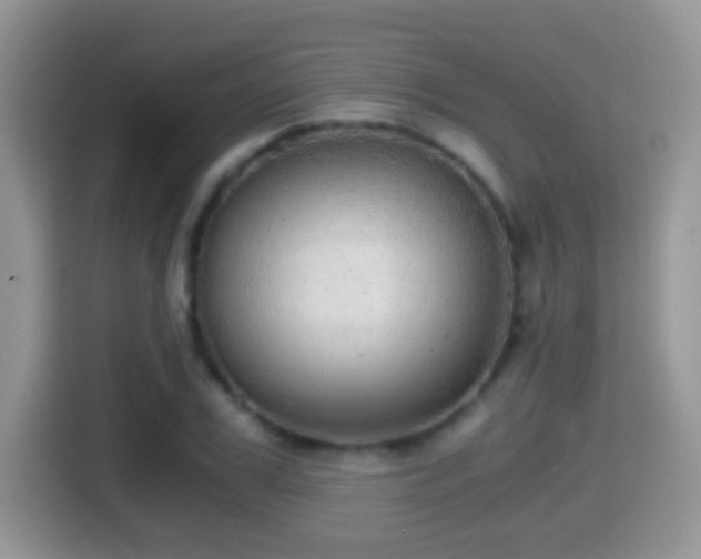 X0000116000979200911251056