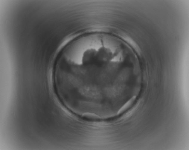 X0000116000983200911251056