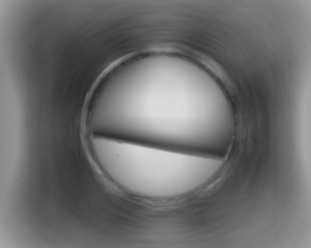 X0000116000984200911251056