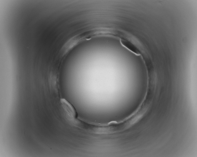 X0000116000985200911251056