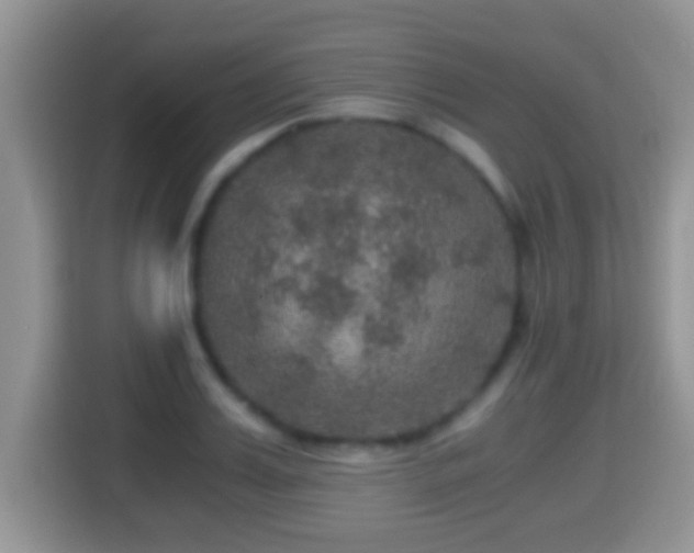 X0000116000987200911251056