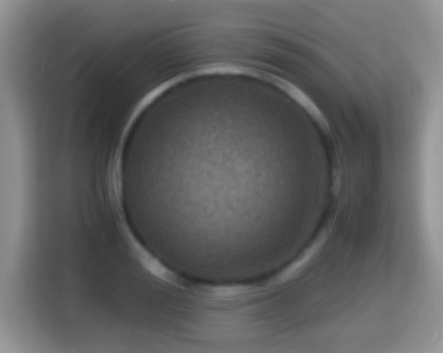 X0000116000988200911251056