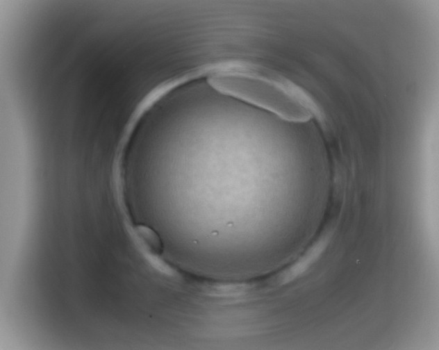 X0000116000989200911251056