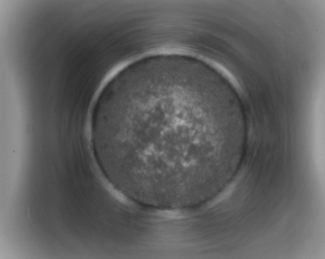 X0000116000990200911251056