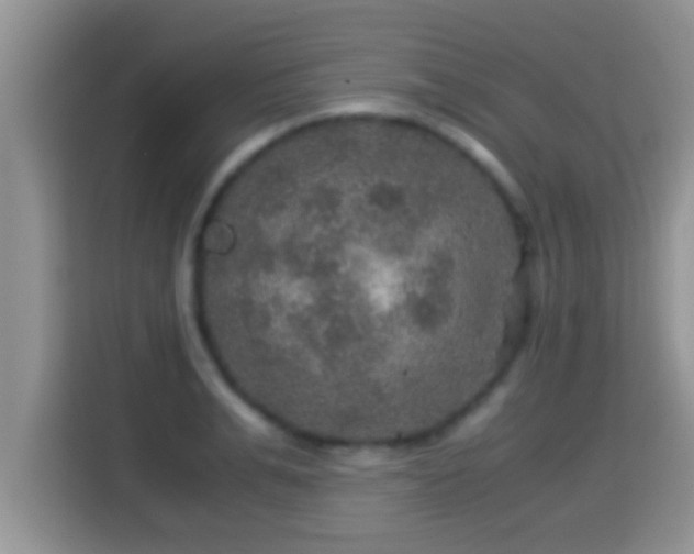 X0000116000991200911251056