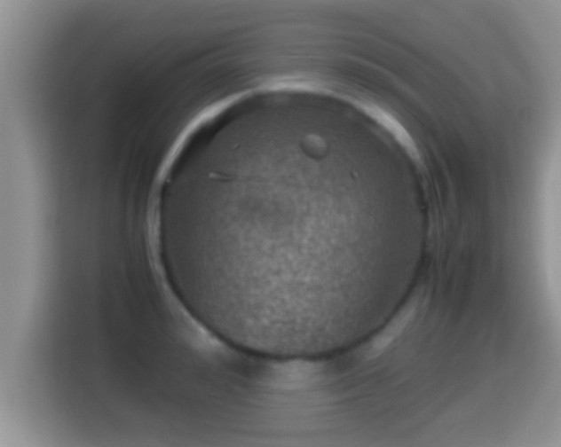 X0000116000992200911251056