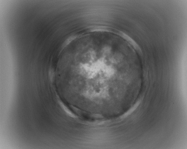 X0000116000993200911251056