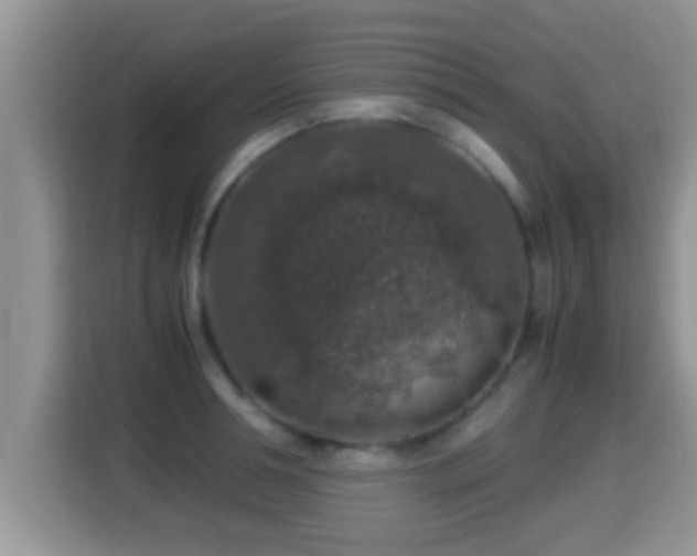 X0000116000994200911251056