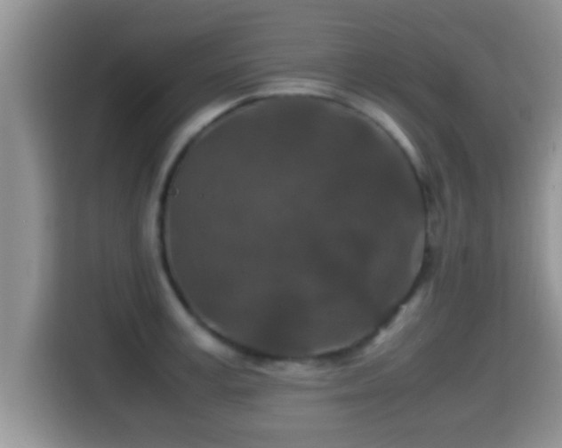 X0000116000995200911251056