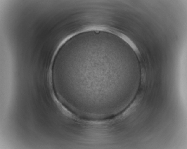 X0000116000996200911251056