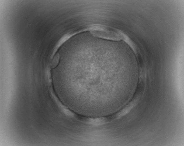 X0000116000997200911251056