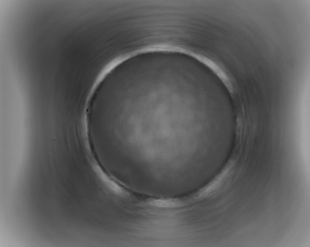 X0000116000998200911251056