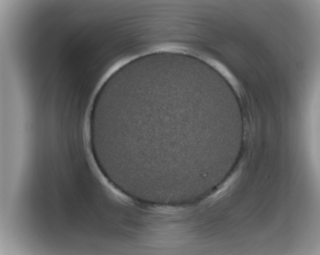 X0000116000999200911251056