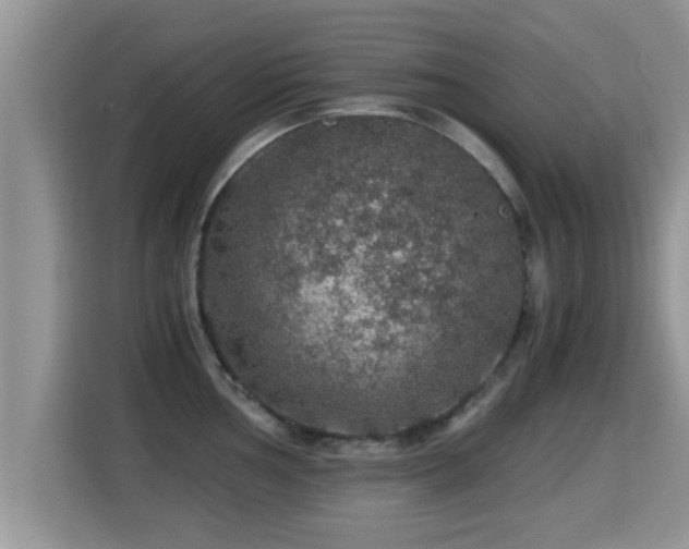 X0000116001002200911251056