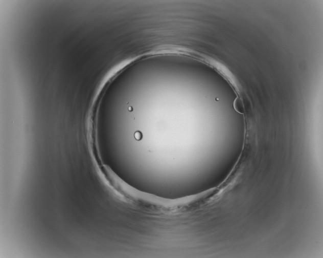 X0000116001003200911251056