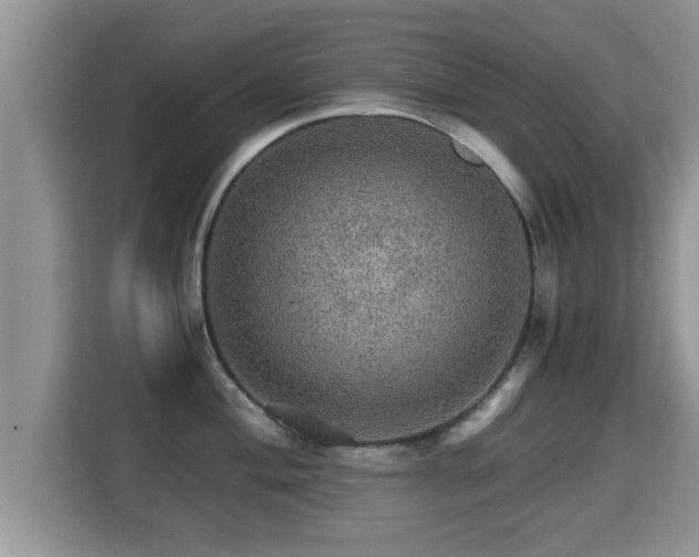 X0000116001004200911251056