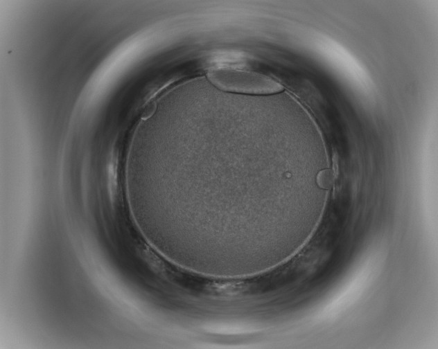 X0000116001005200911251056