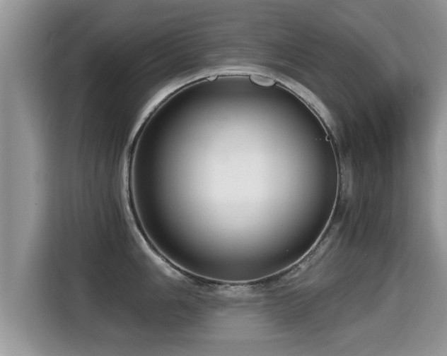 X0000116001006200911251056