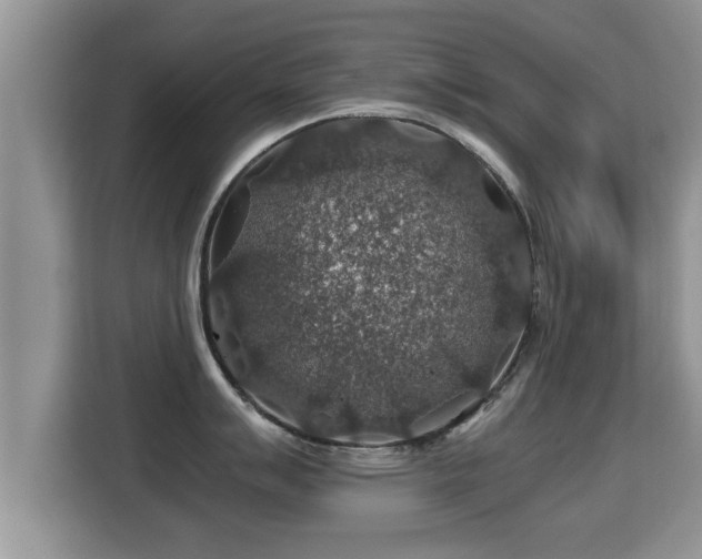 X0000116001007200911251056