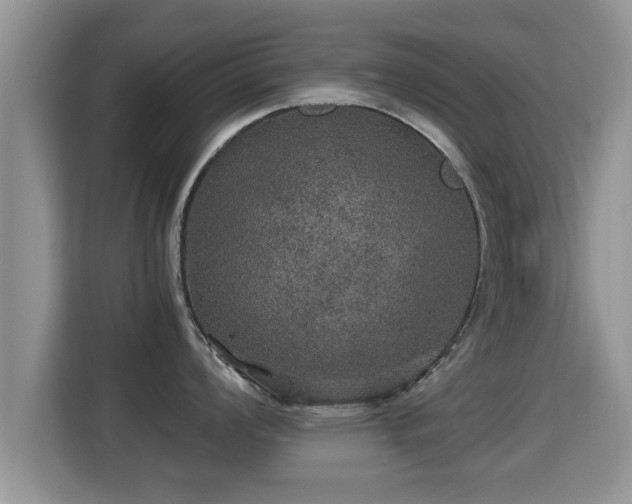 X0000116001008200911251056