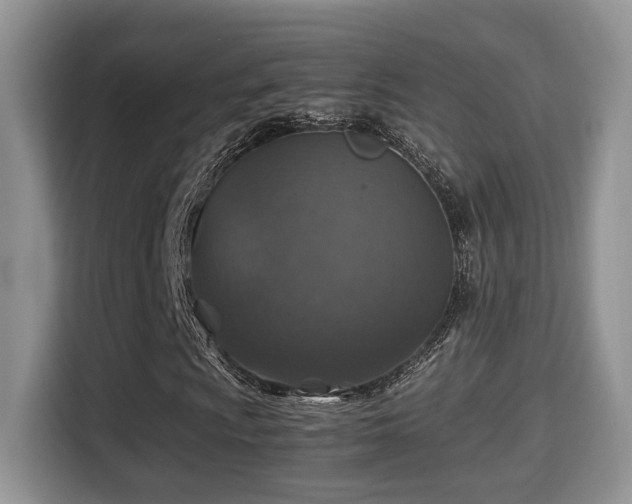 X0000116001009200911251055