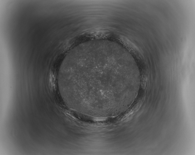 X0000116001010200911251056