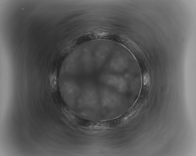 X0000116001011200911251056