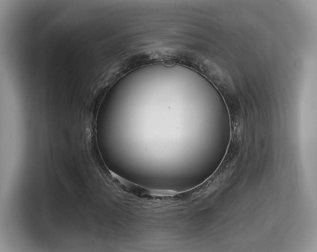 X0000116001012200911251056