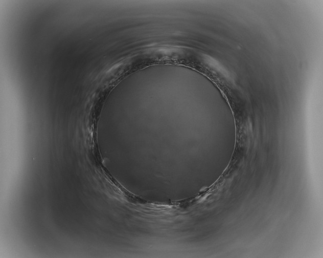 X0000116001013200911251056