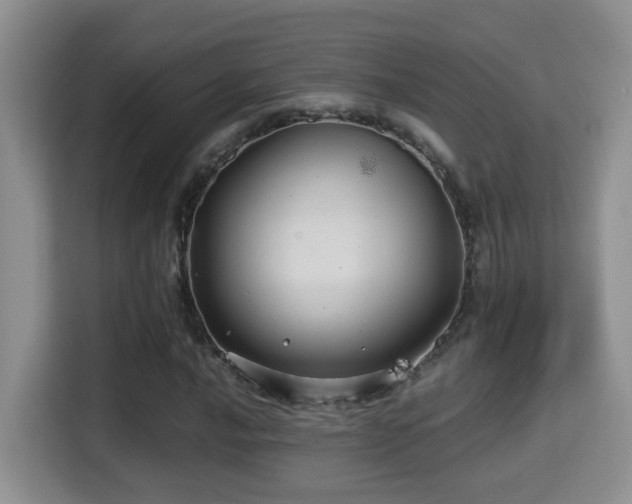 X0000116001016200911251056