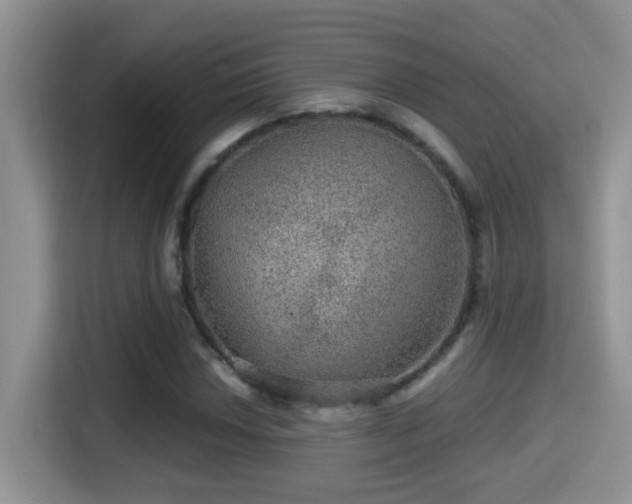 X0000116001018200911251056